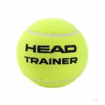 Head Trainer